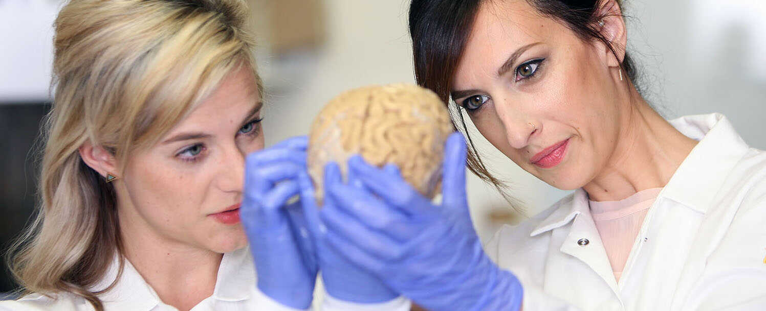 Human brain hold by Faculty